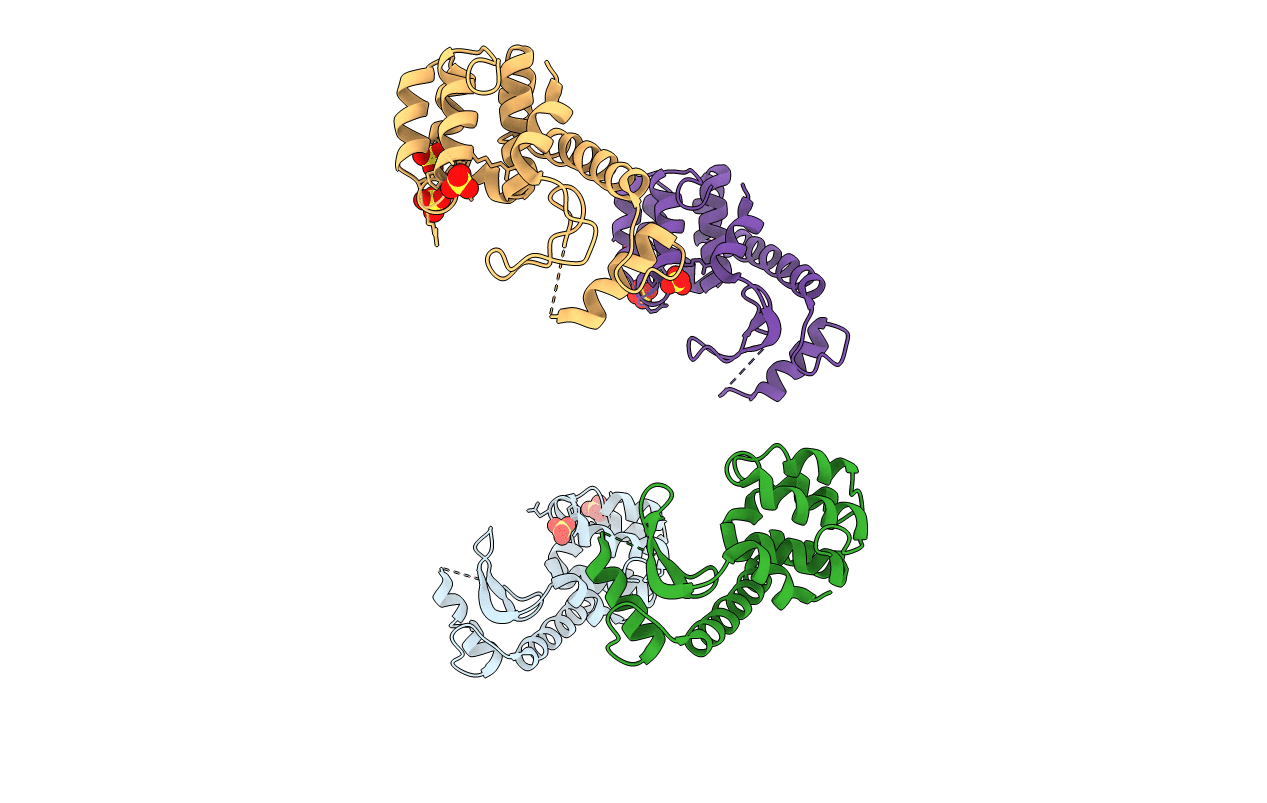 2B7X image