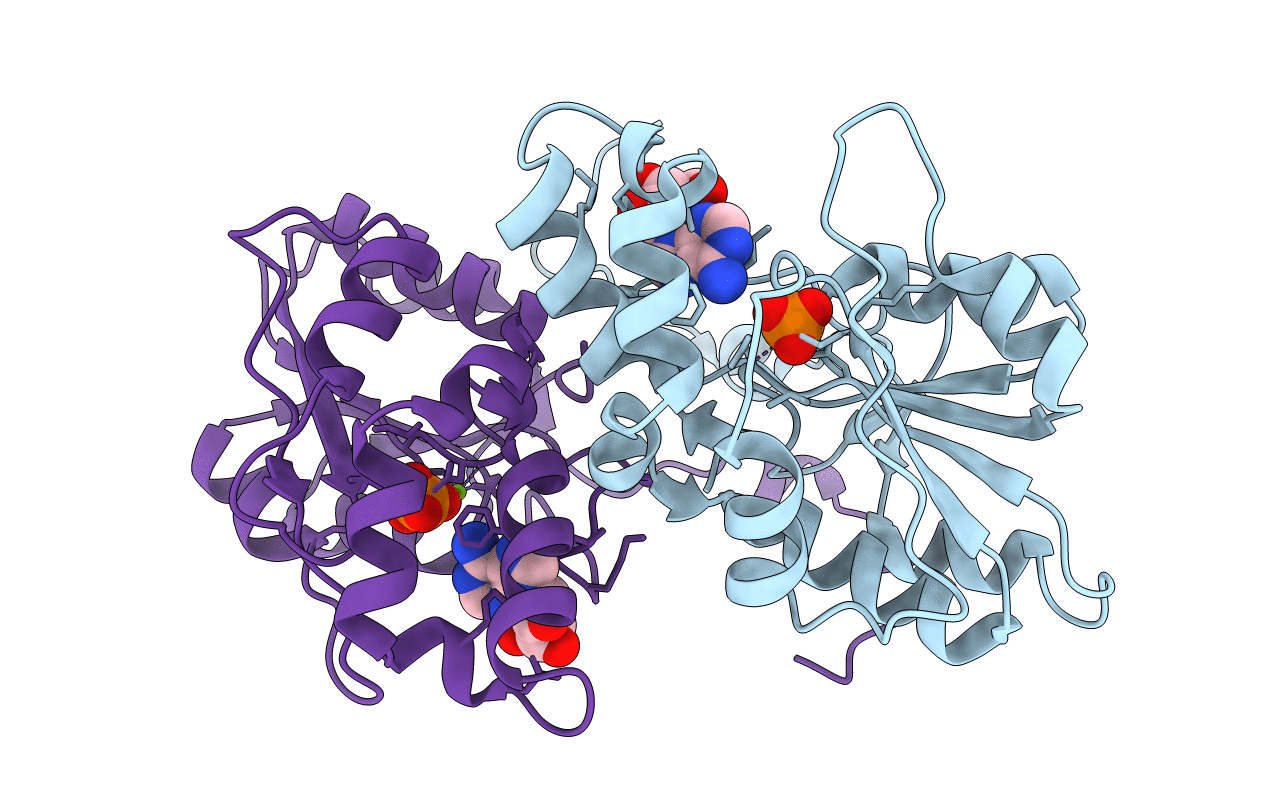 2B82 image