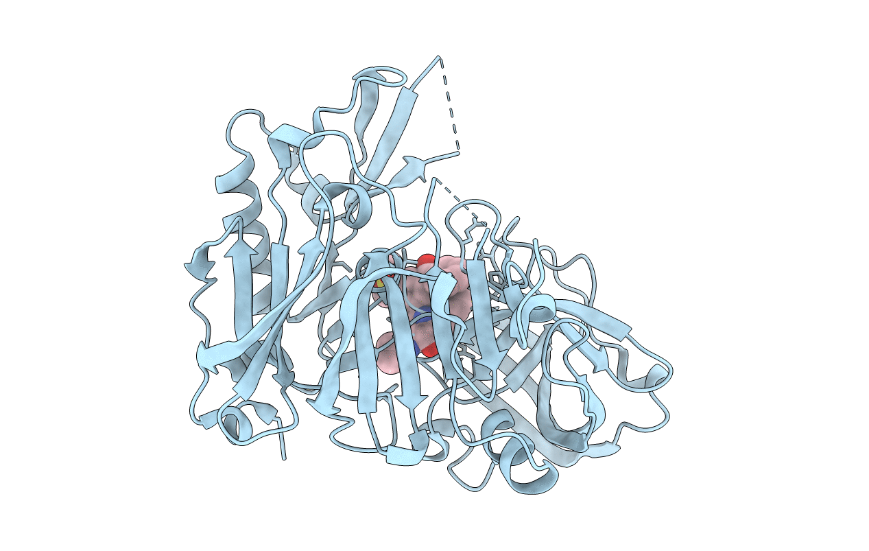 2B8V image