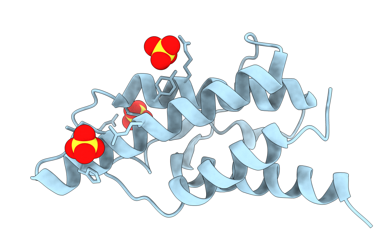 2B91 image