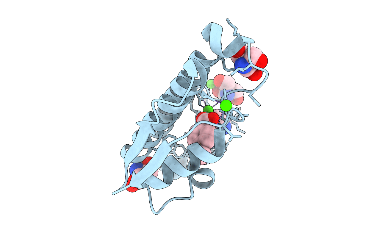 2B96 image