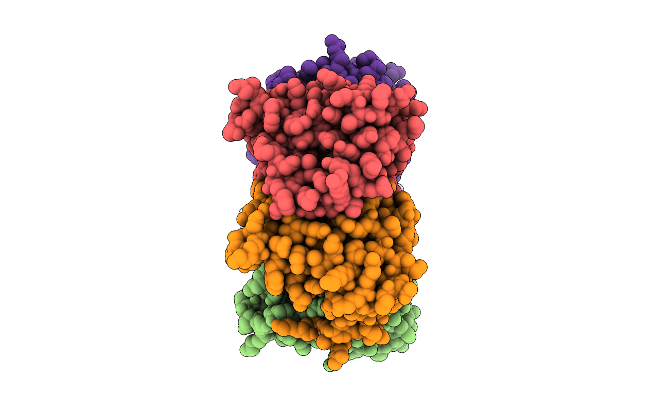 2B98 image