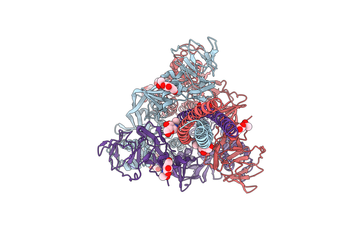 2B9B image