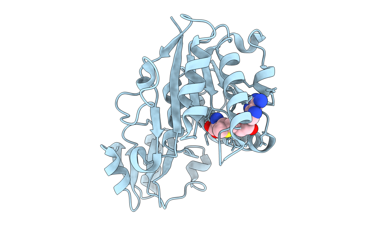 2B9E image
