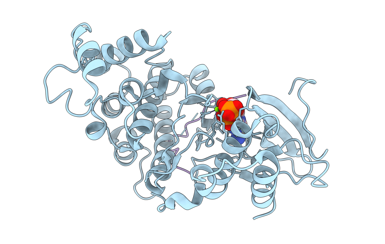 2B9H image