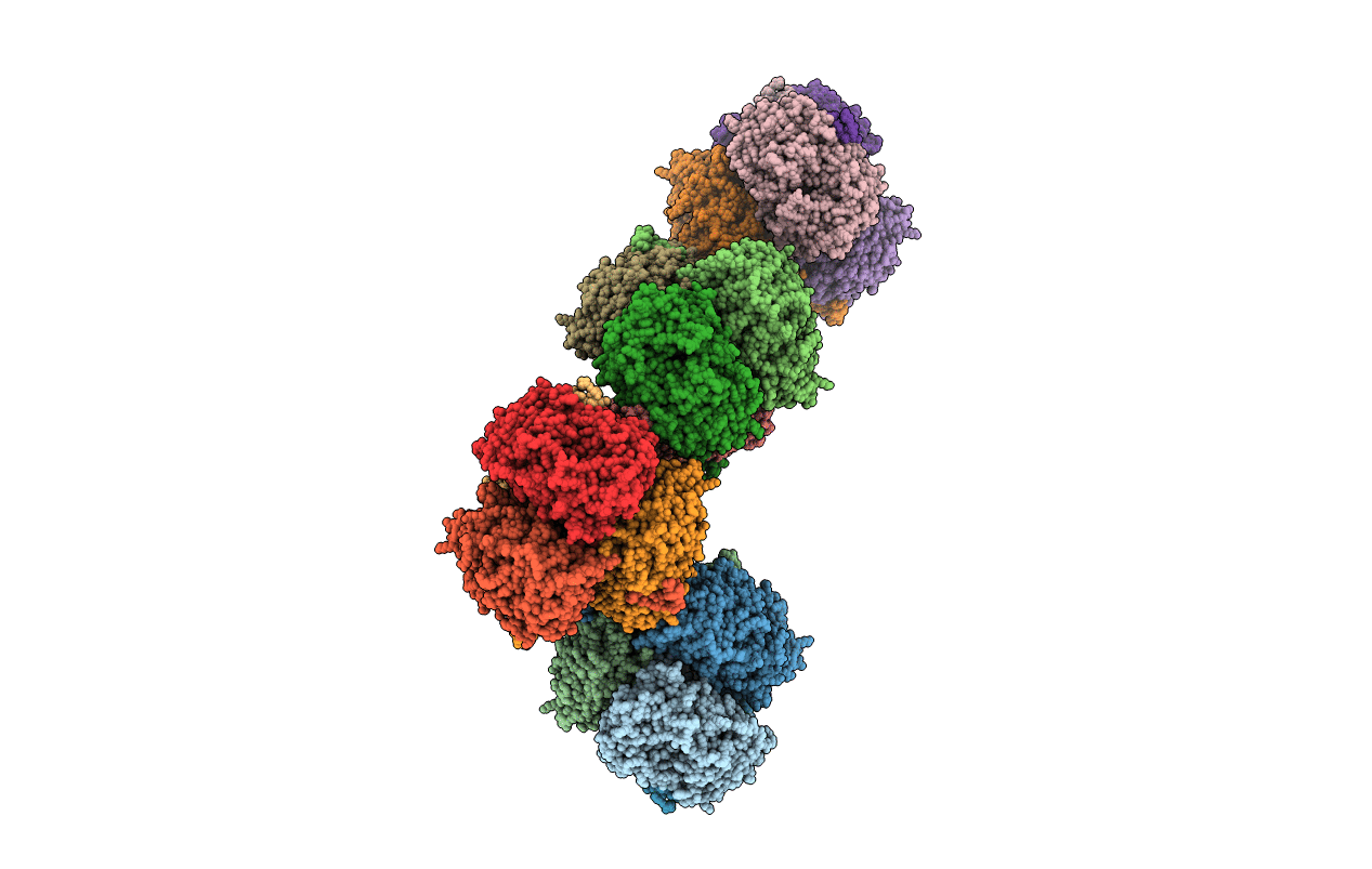 2B9V image