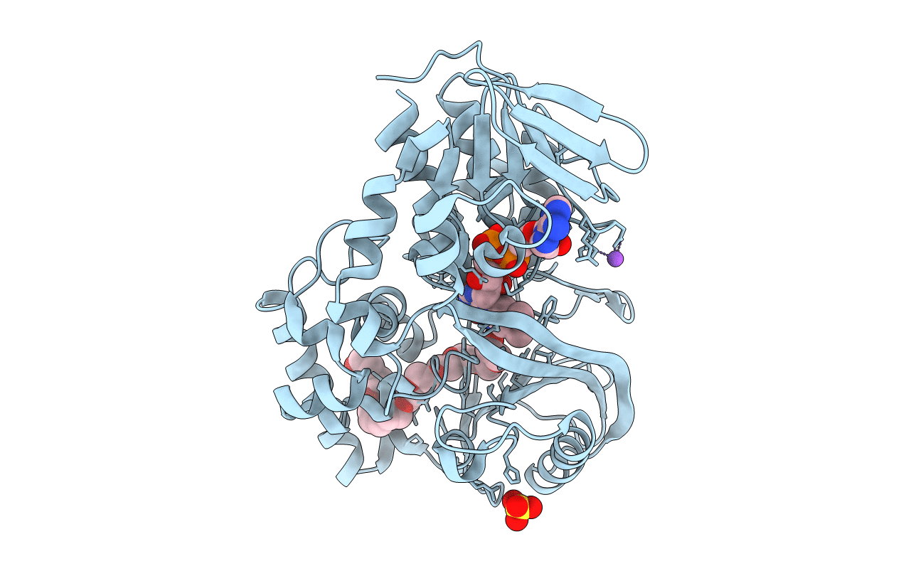 2B9W image