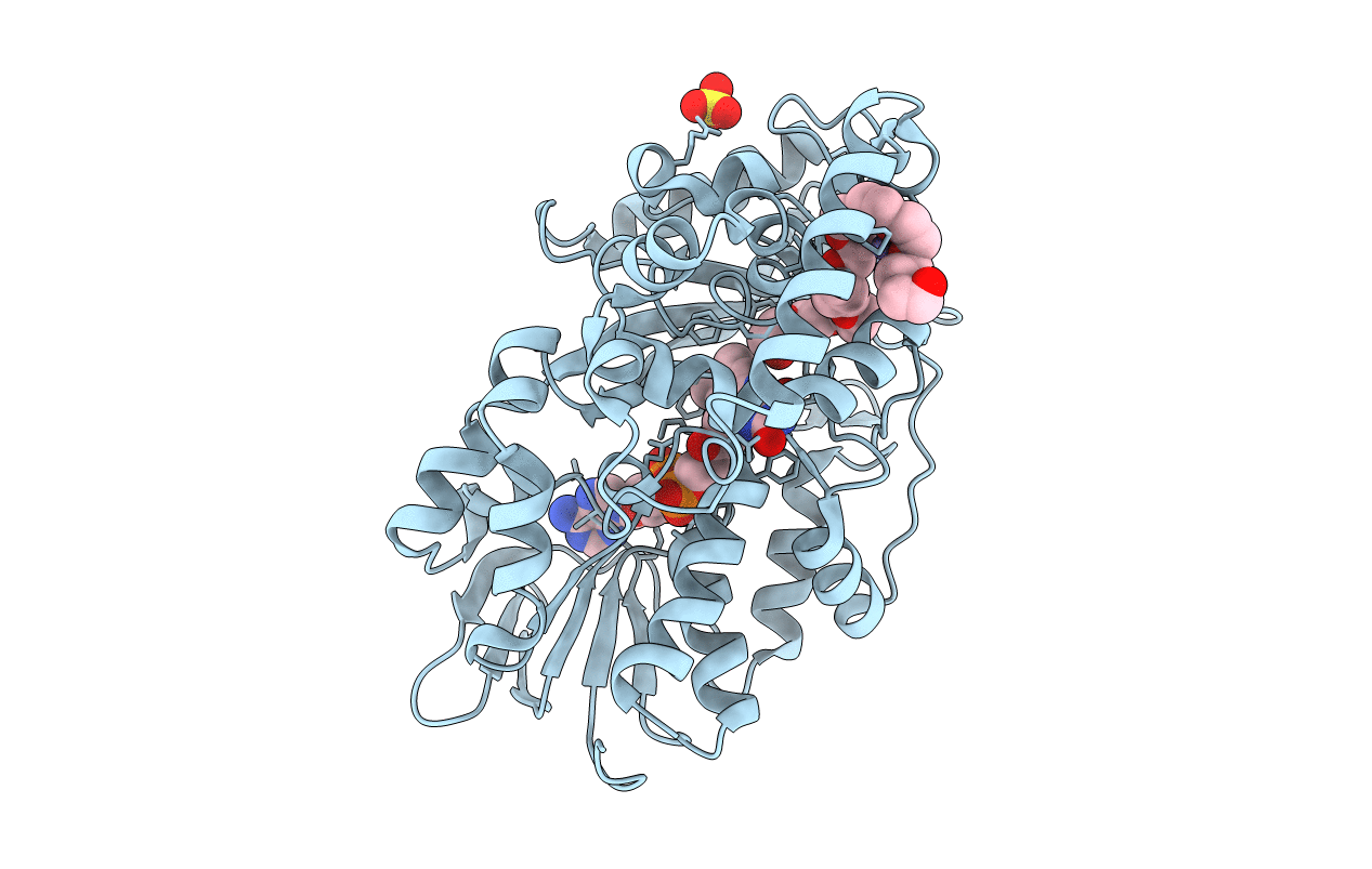 2B9X image