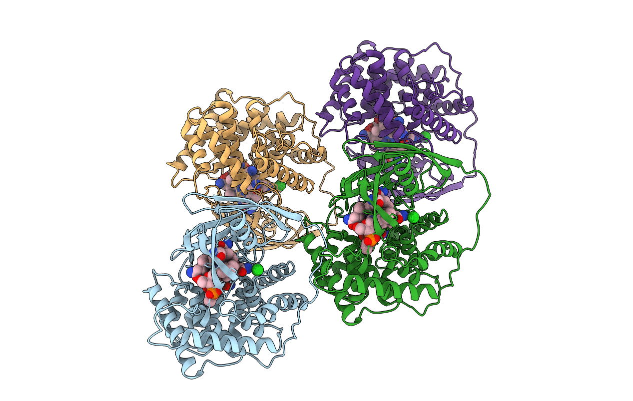 2BB6 image