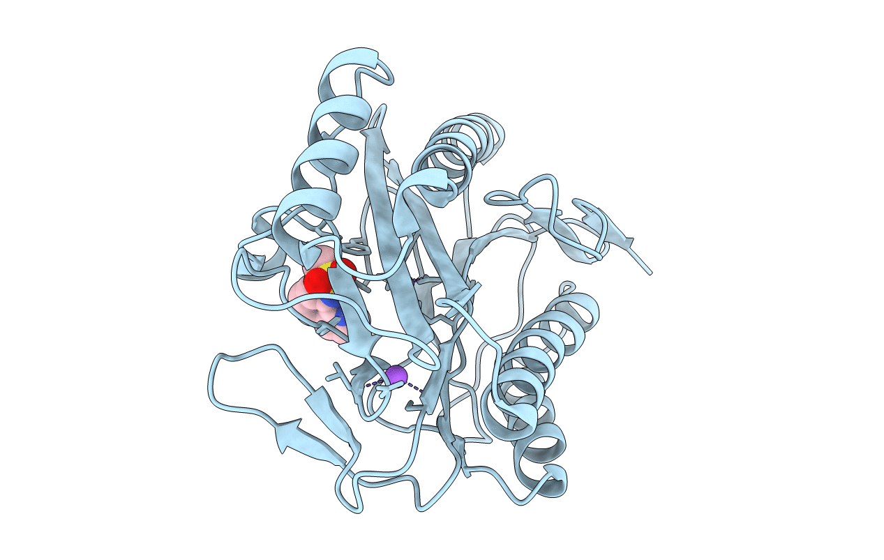 2BB7 image