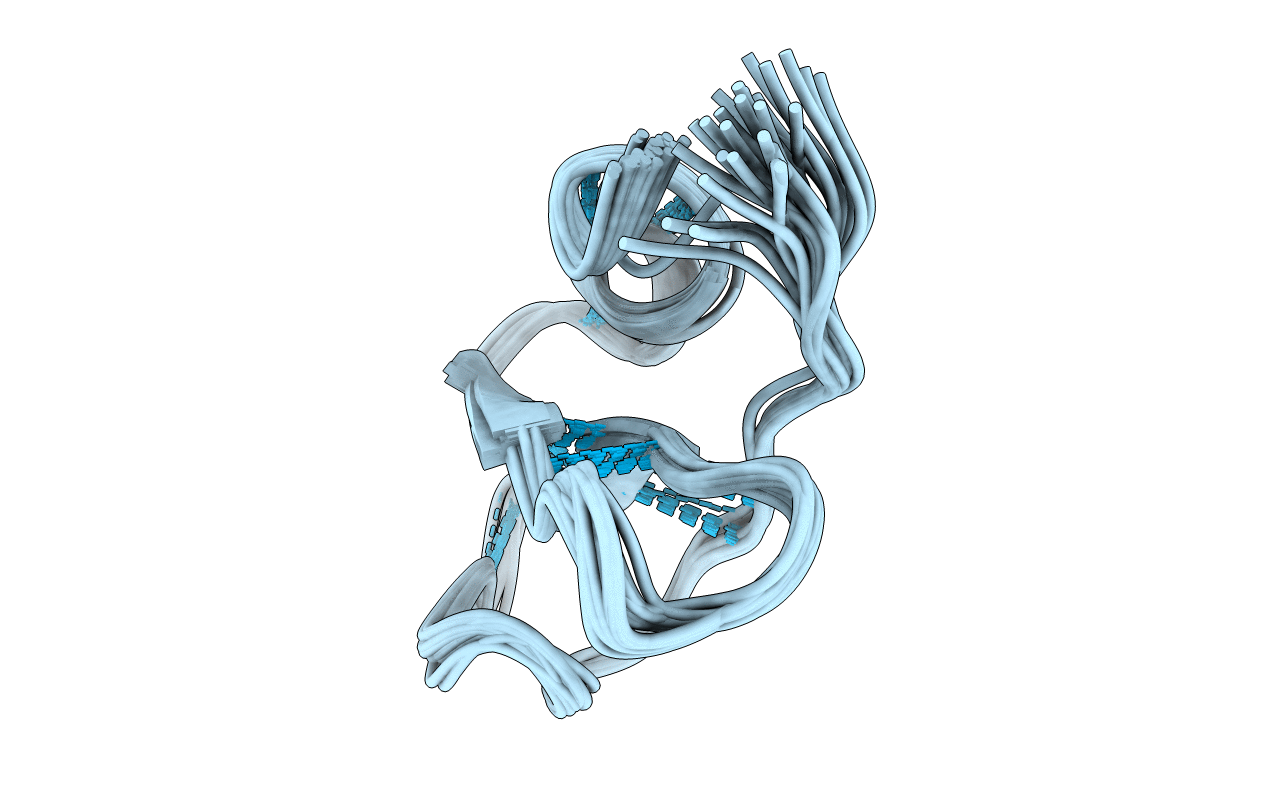 2BBG image