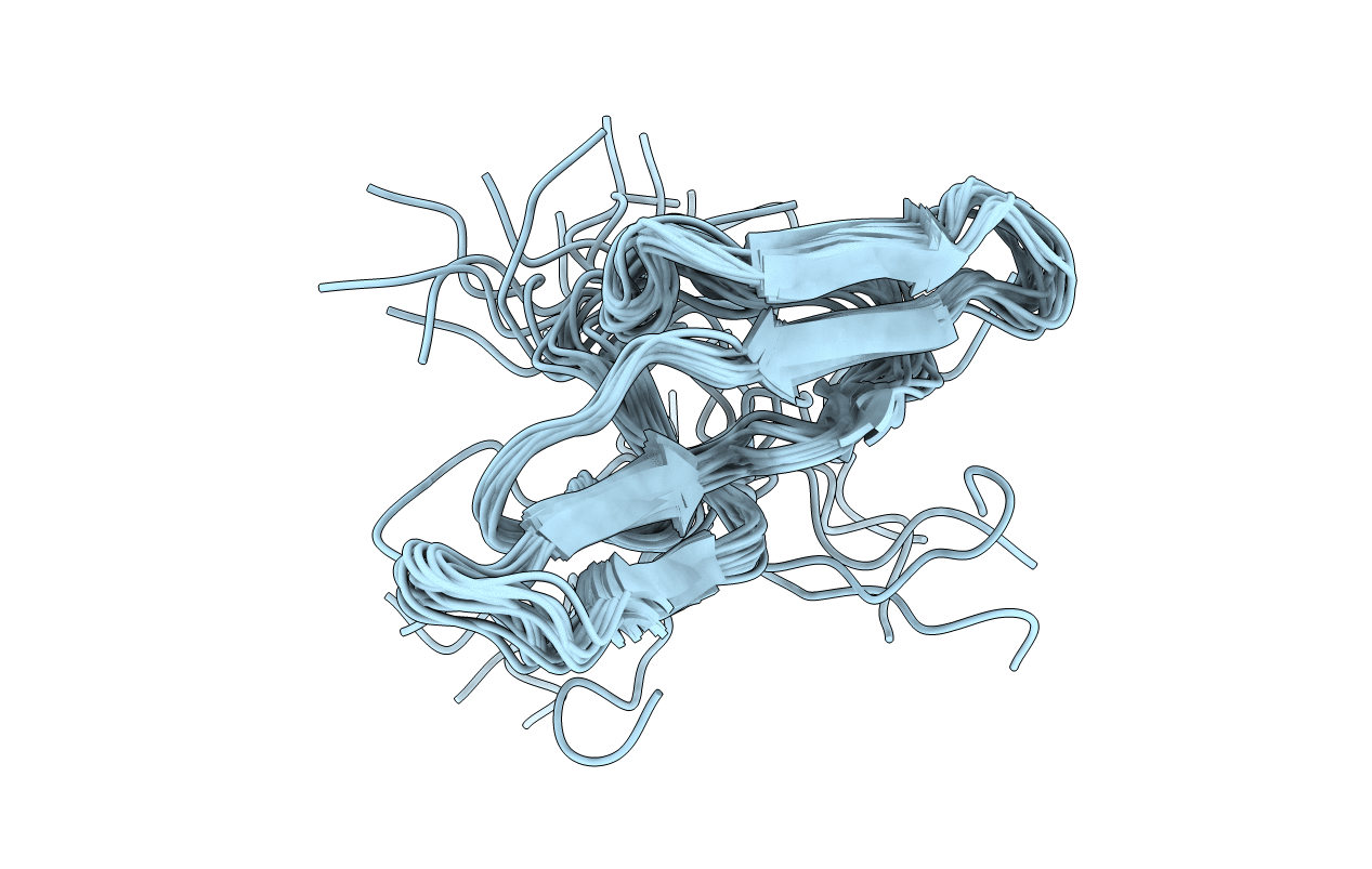 2BBI image