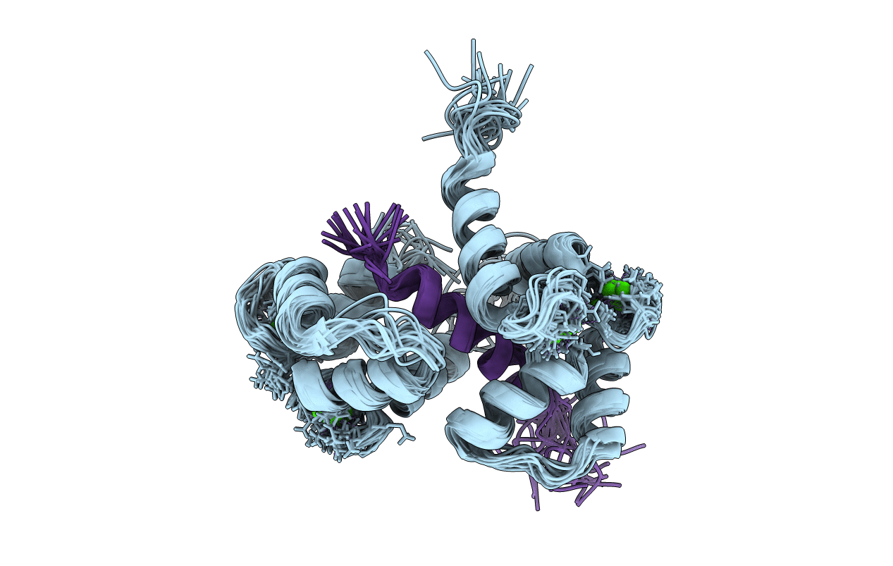 2BBN image