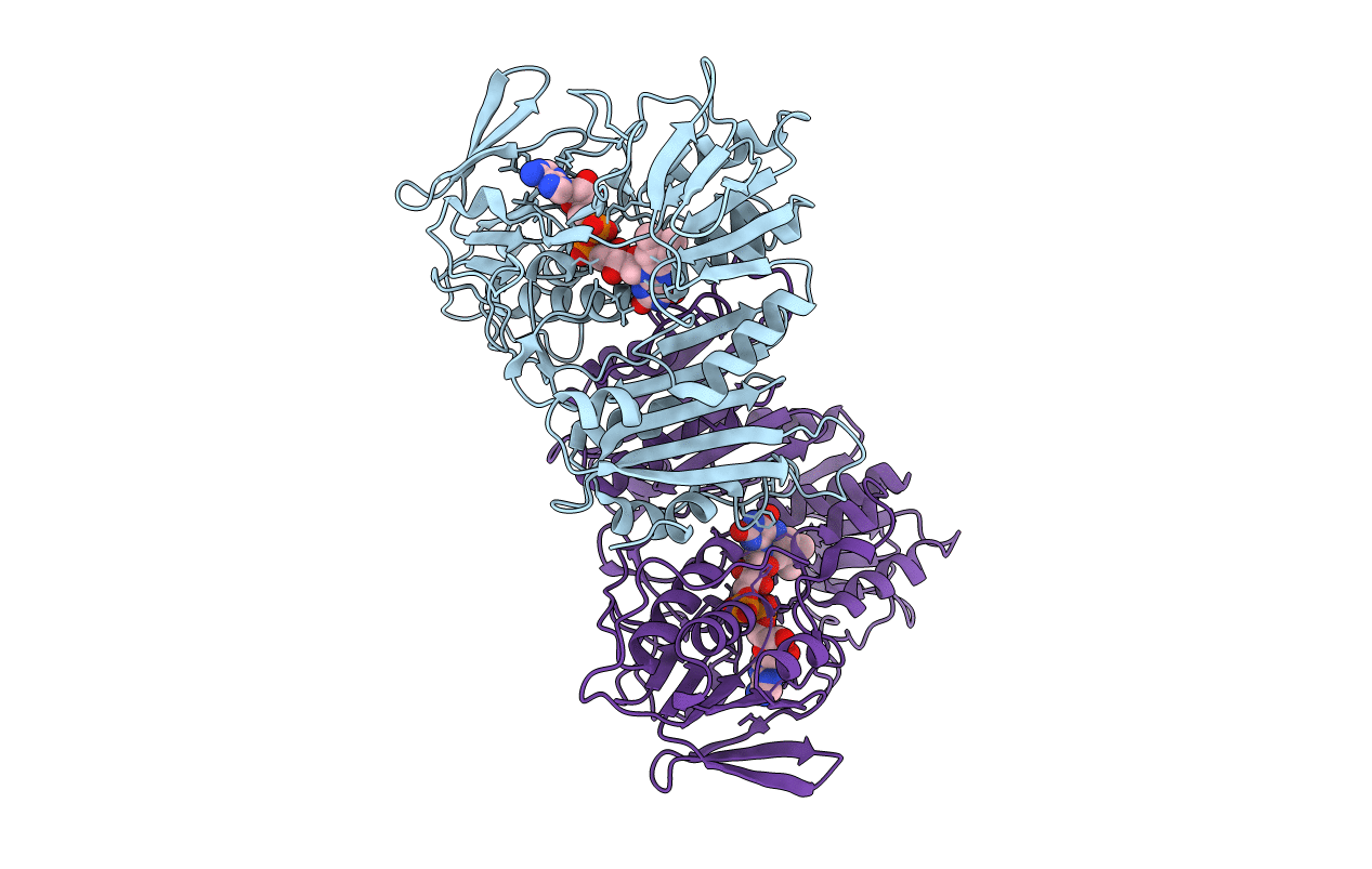 2BC1 image