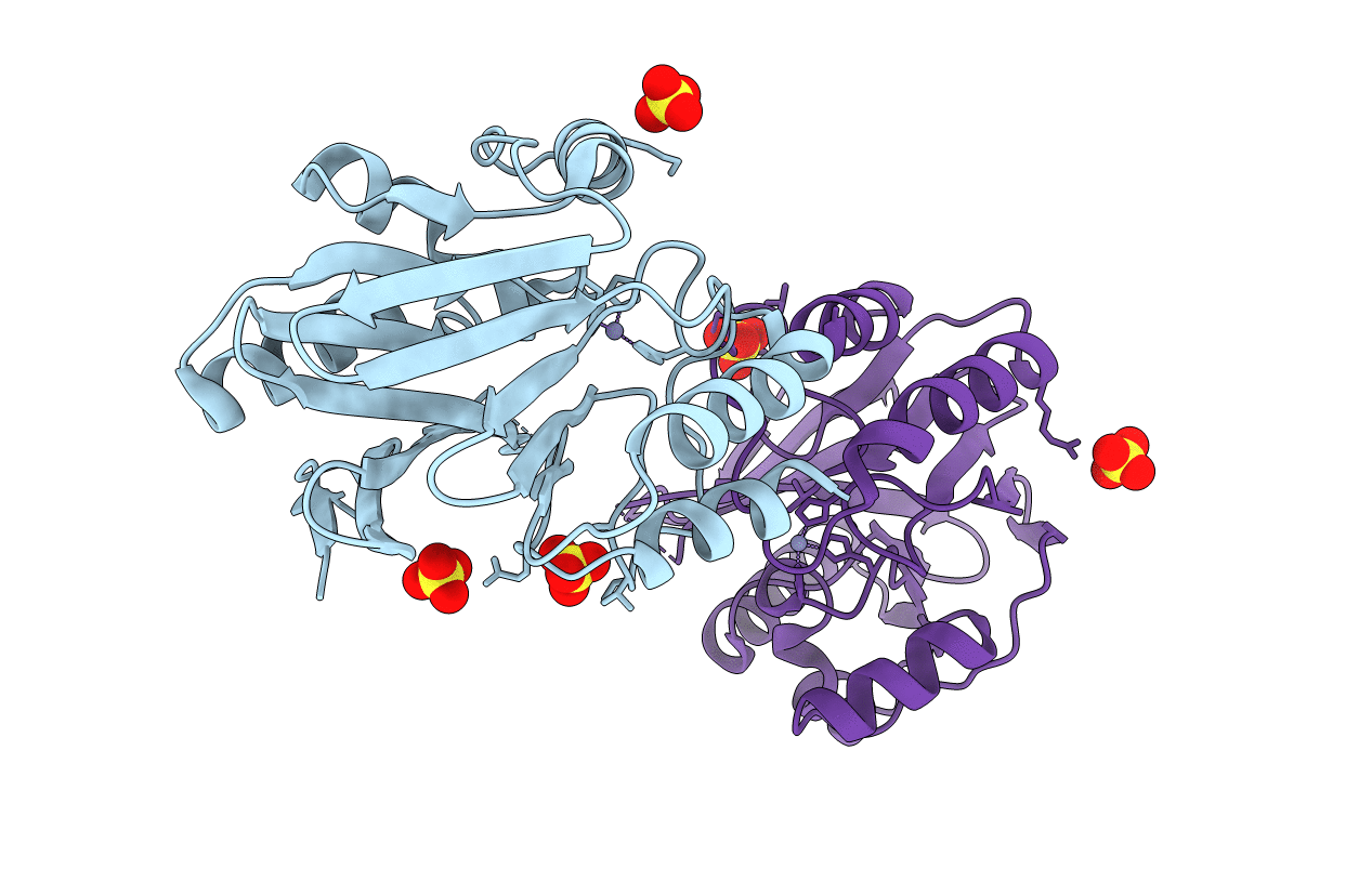 2bc2 image