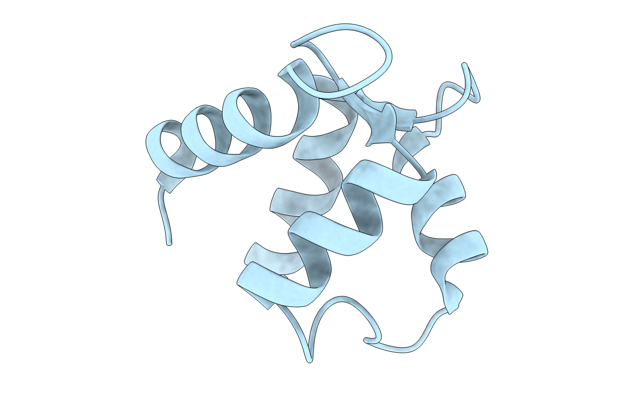 2BCA image
