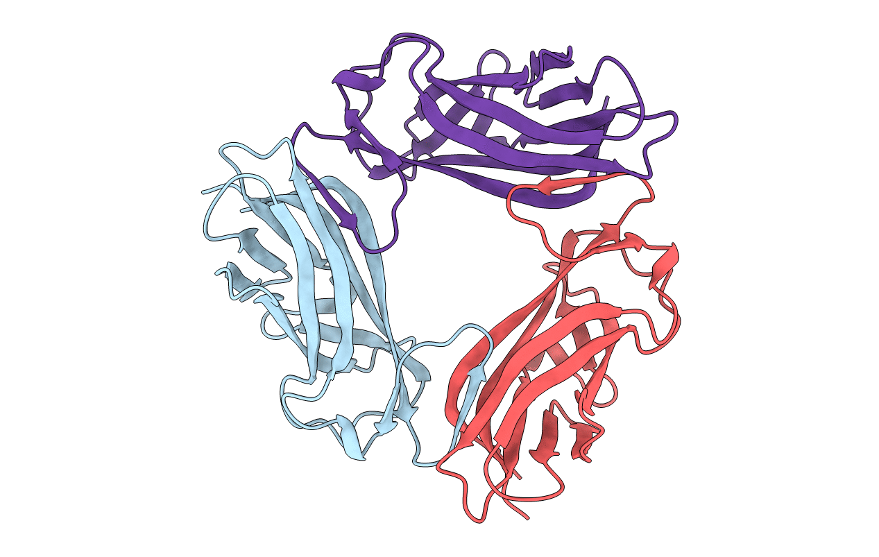 2BCM image