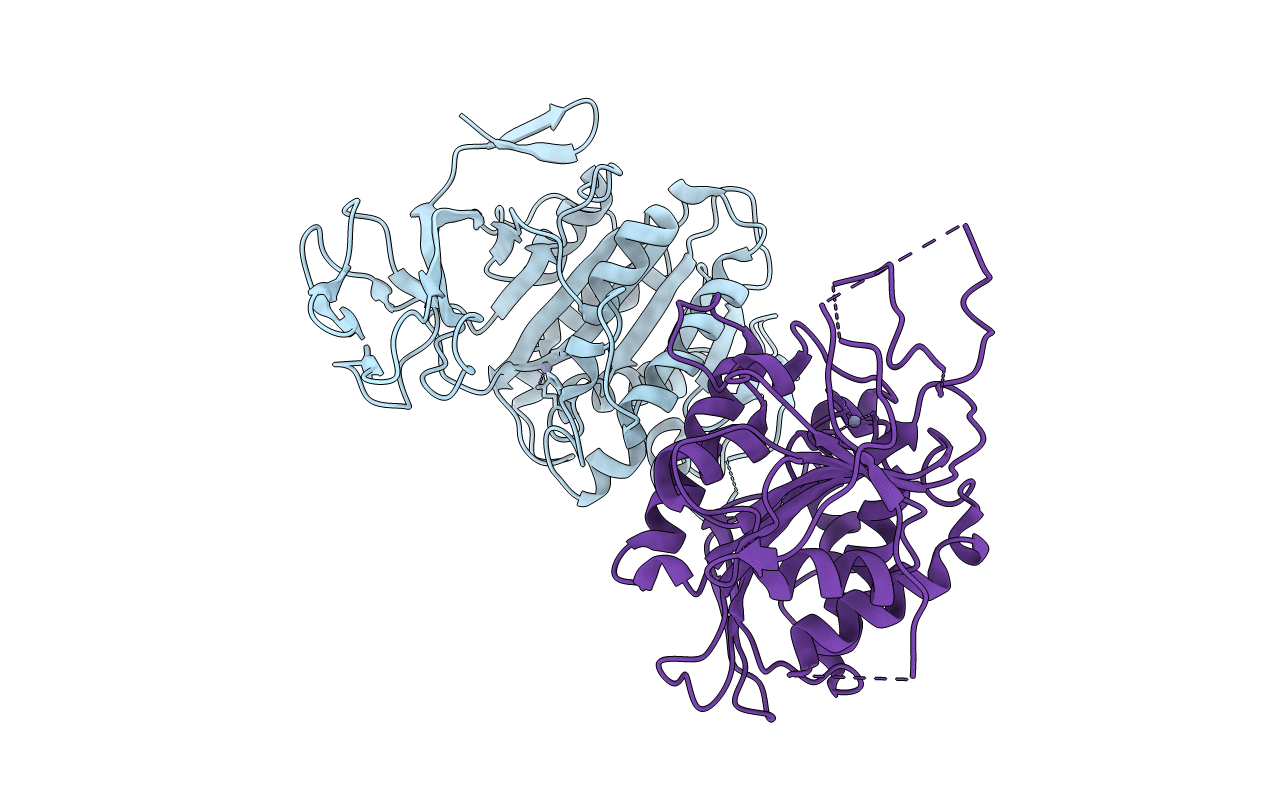 2BCO image