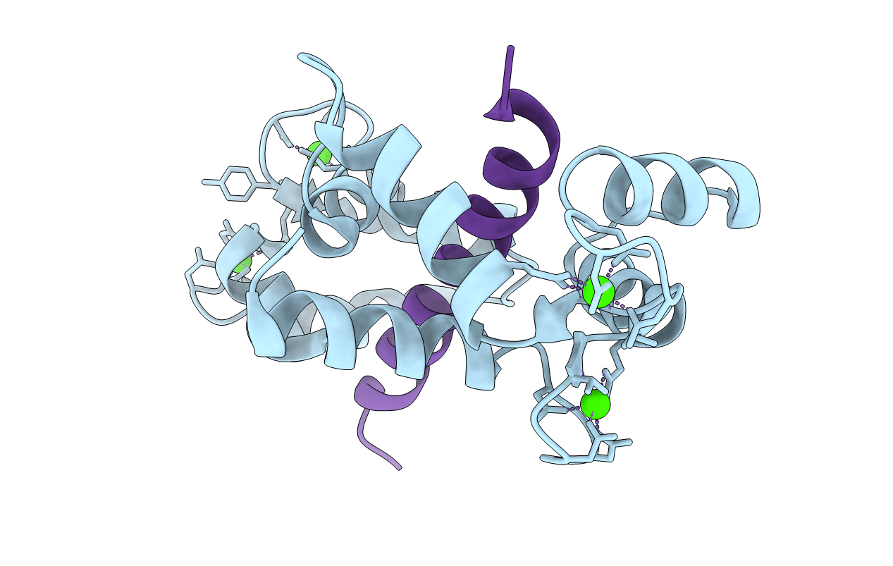 2BCX image