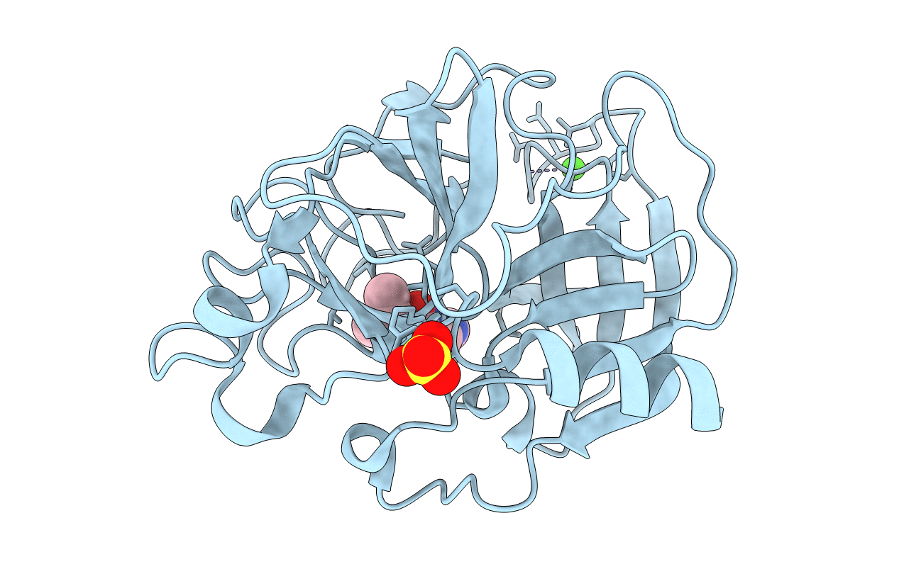 2BD7 image