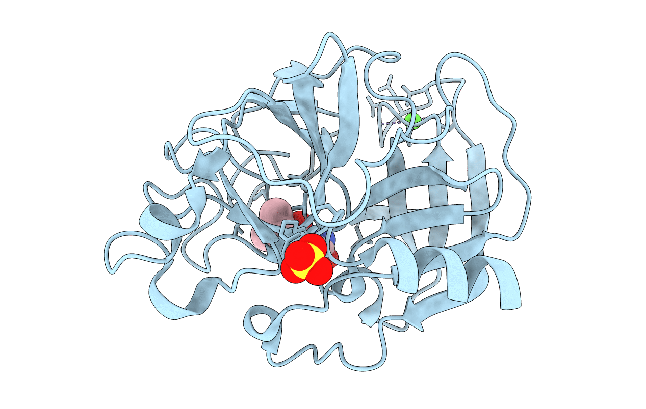 2BDA image