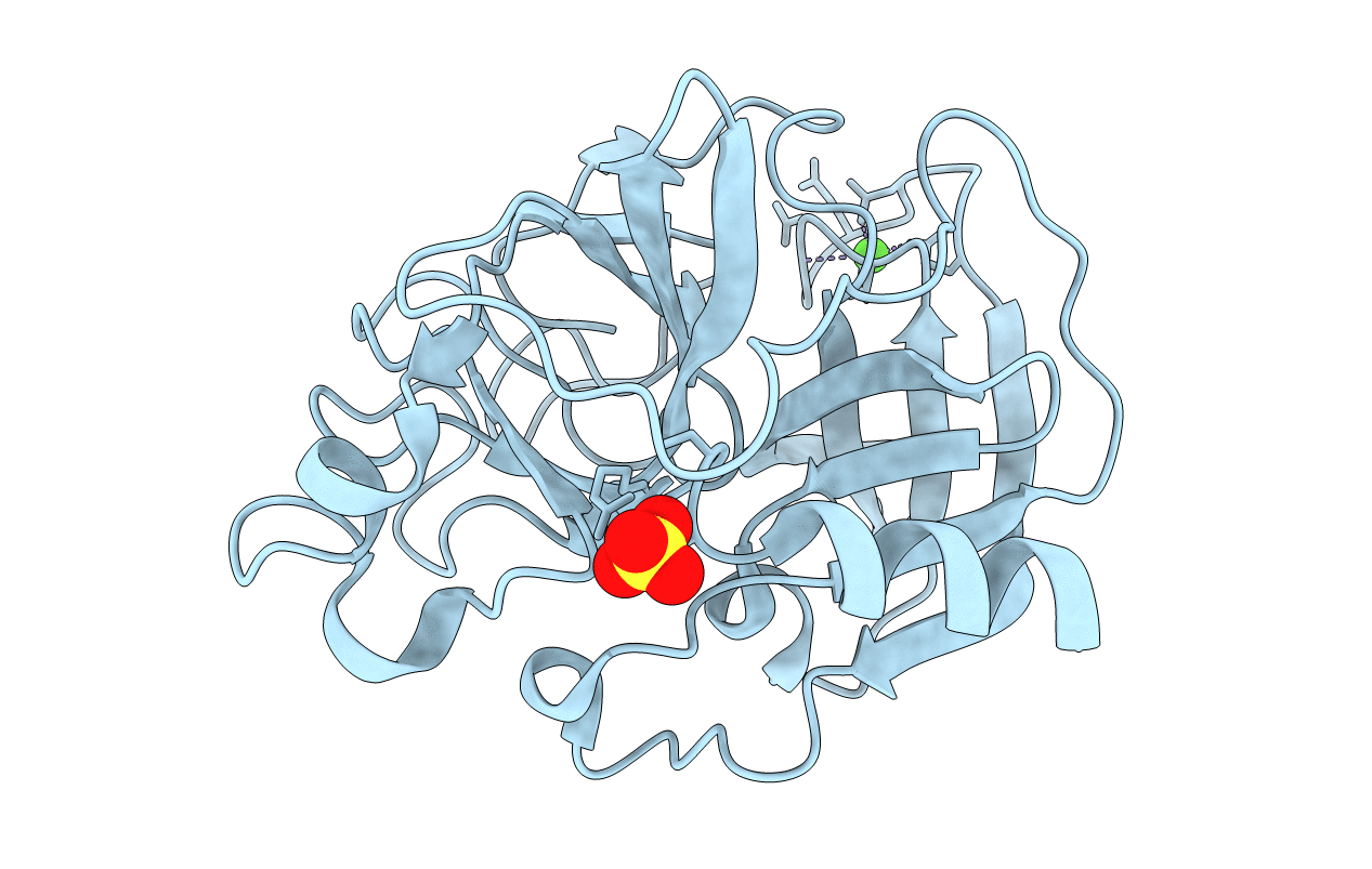 2BDC image