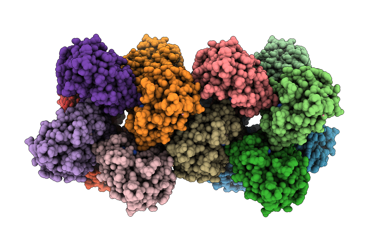 2BDI image