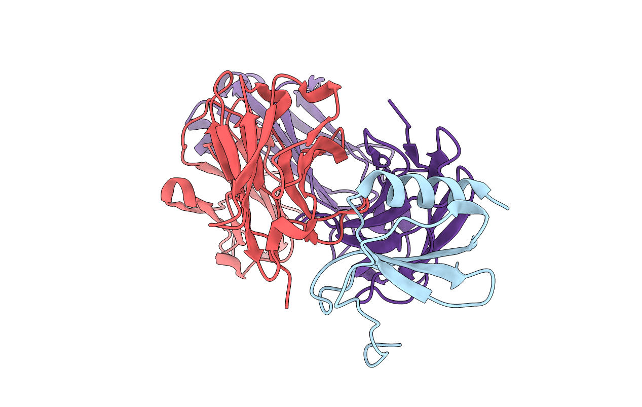 2BDN image