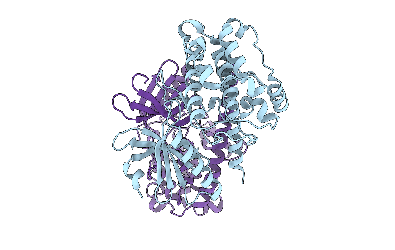 2BDW image