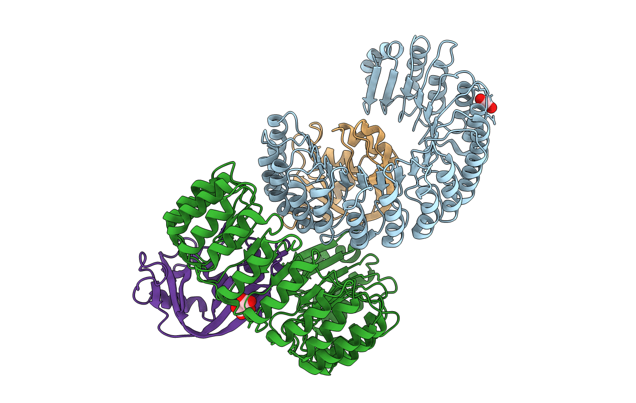 2BEX image