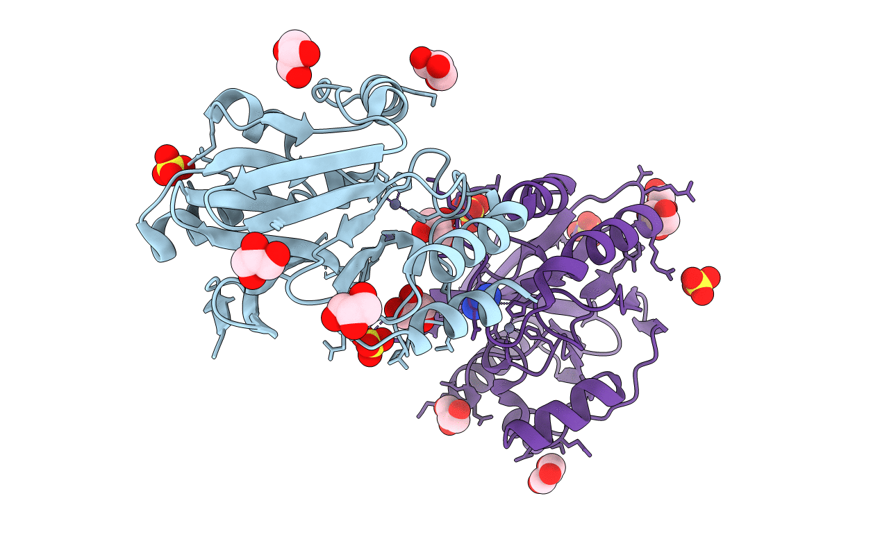 2BFL image