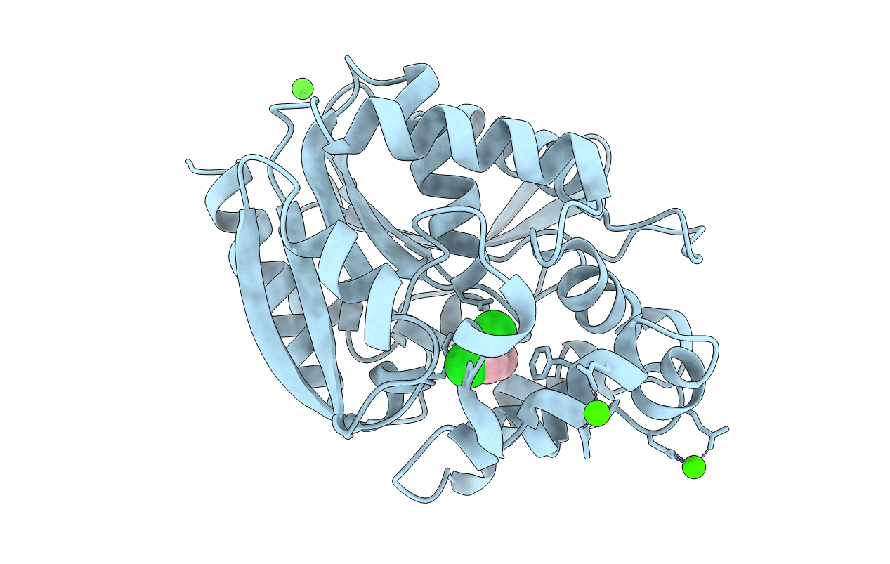 2BFN image