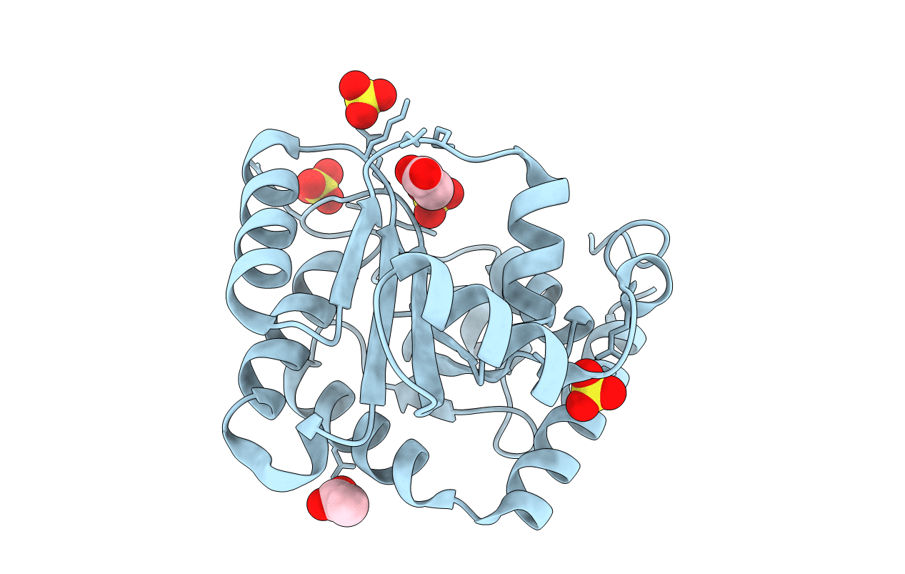 2BFW image