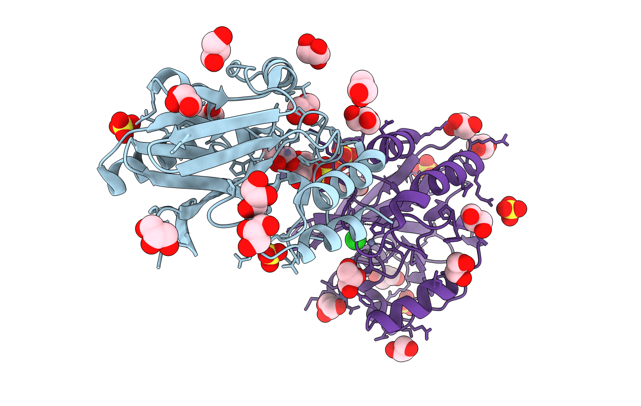 2BG2 image