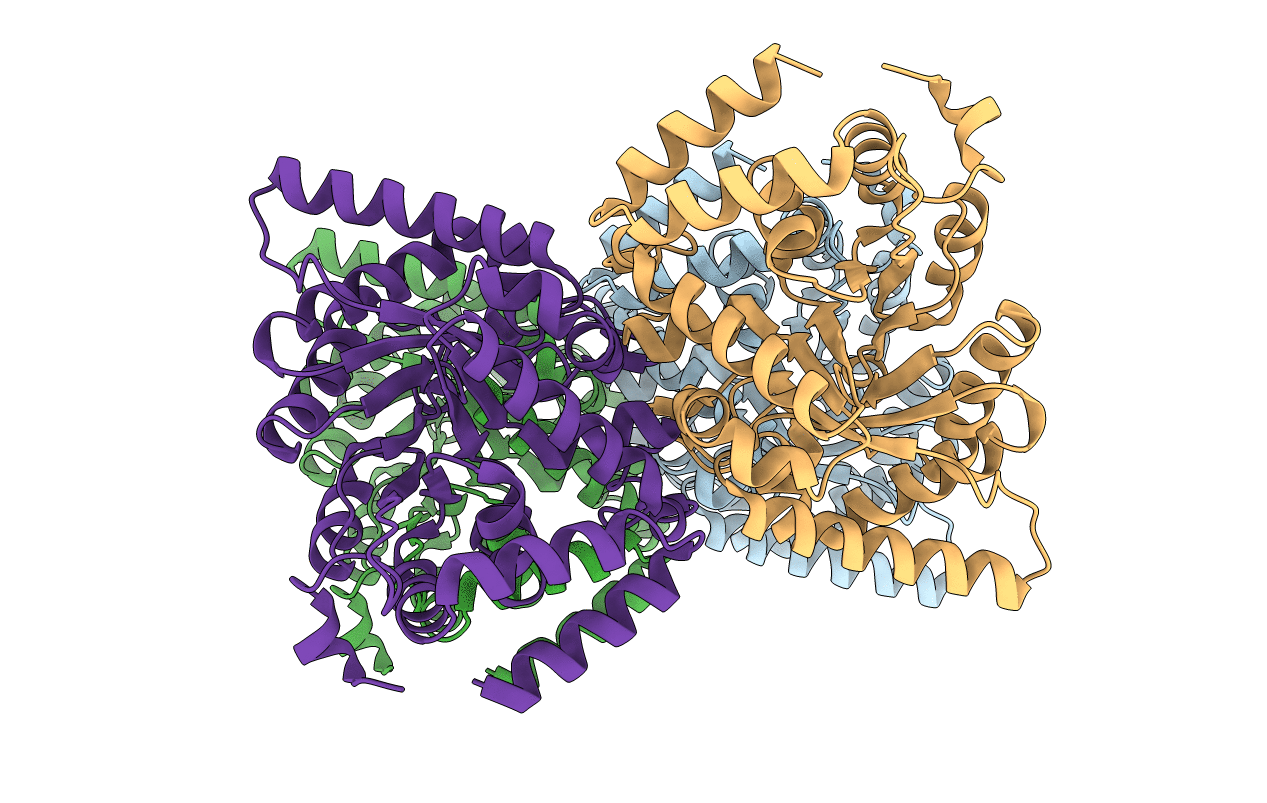 2BG5 image