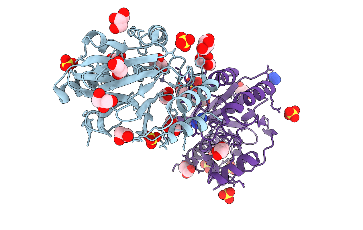 2BG6 image