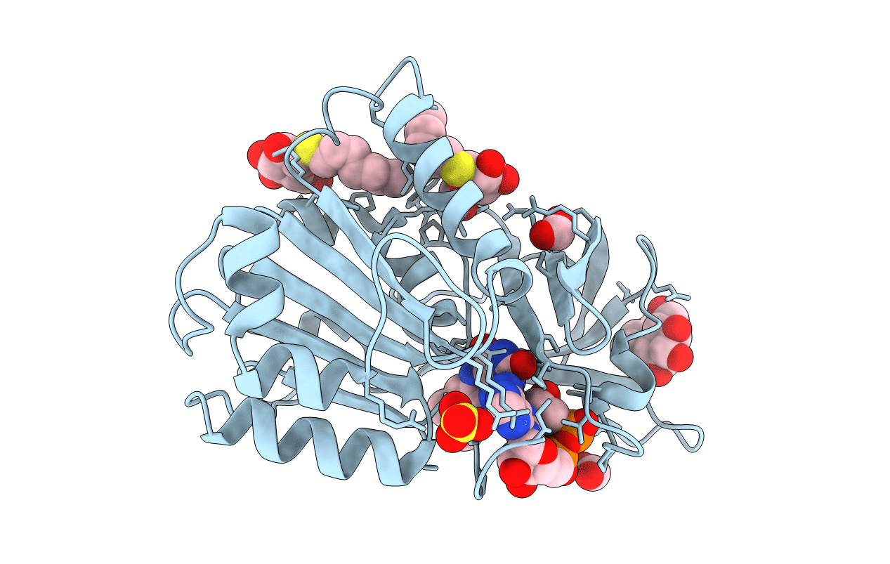 2BGI image