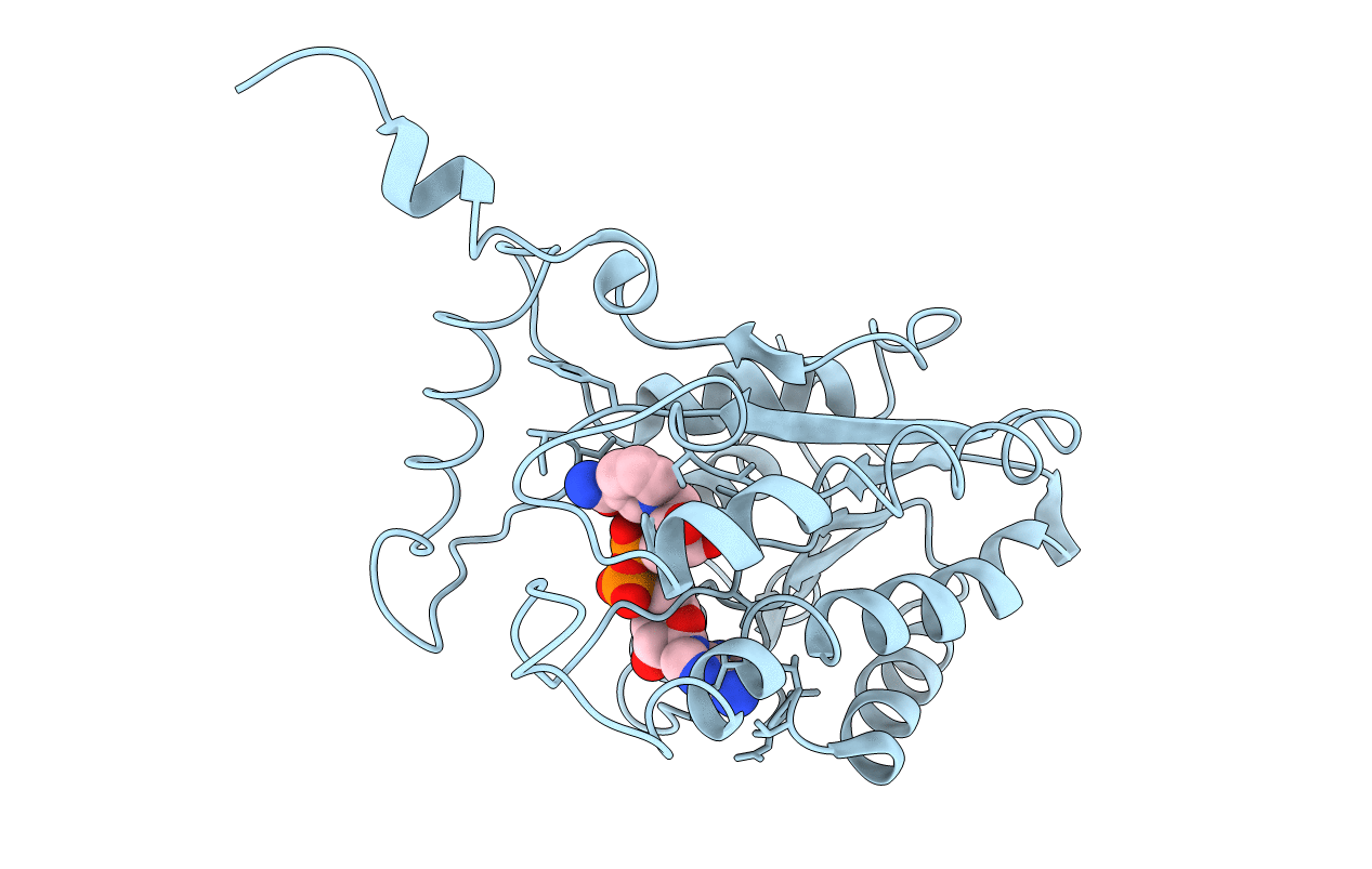 2BGL image