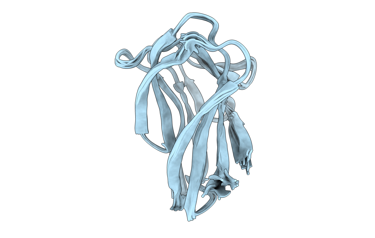 2BGO image