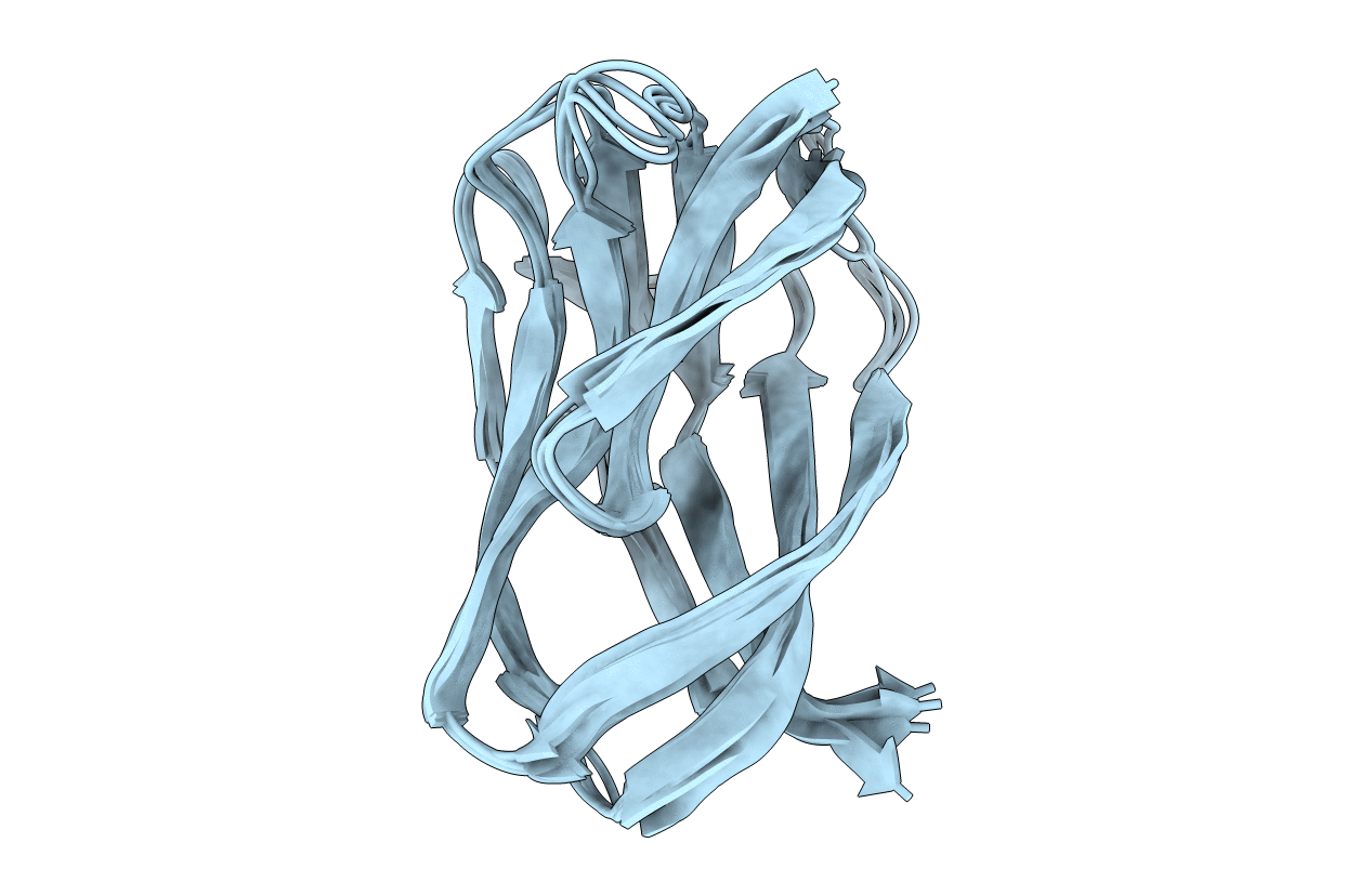 2BGP image