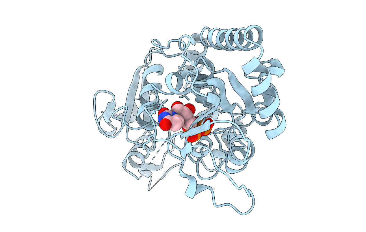 2BGU image