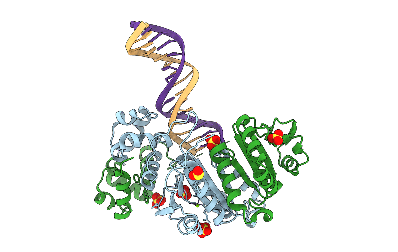 2BGW image