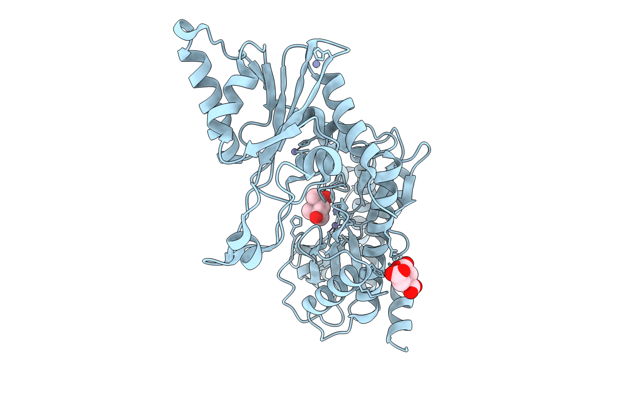2BHB image