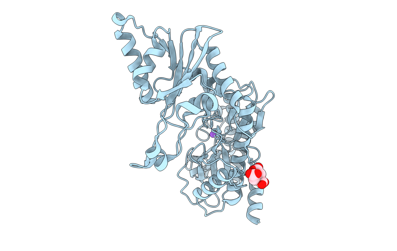 2BHC image