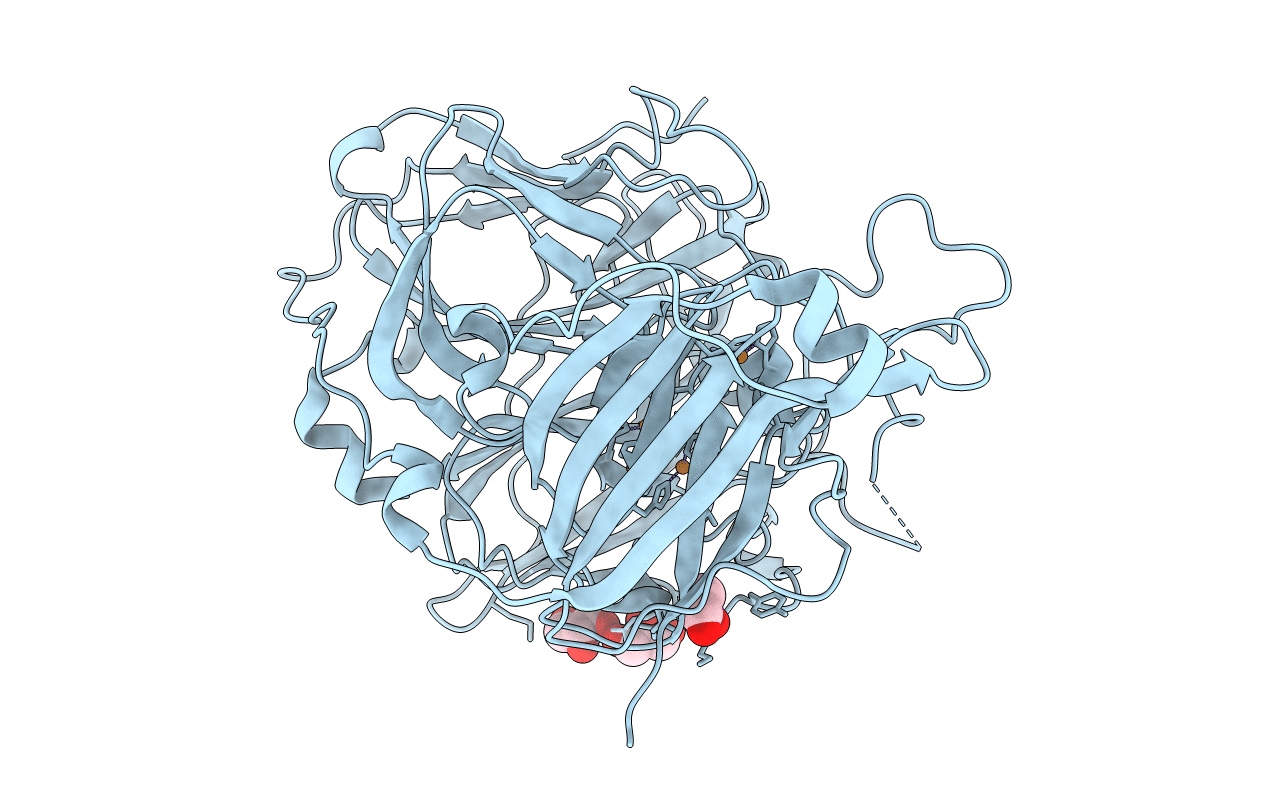 2BHF image