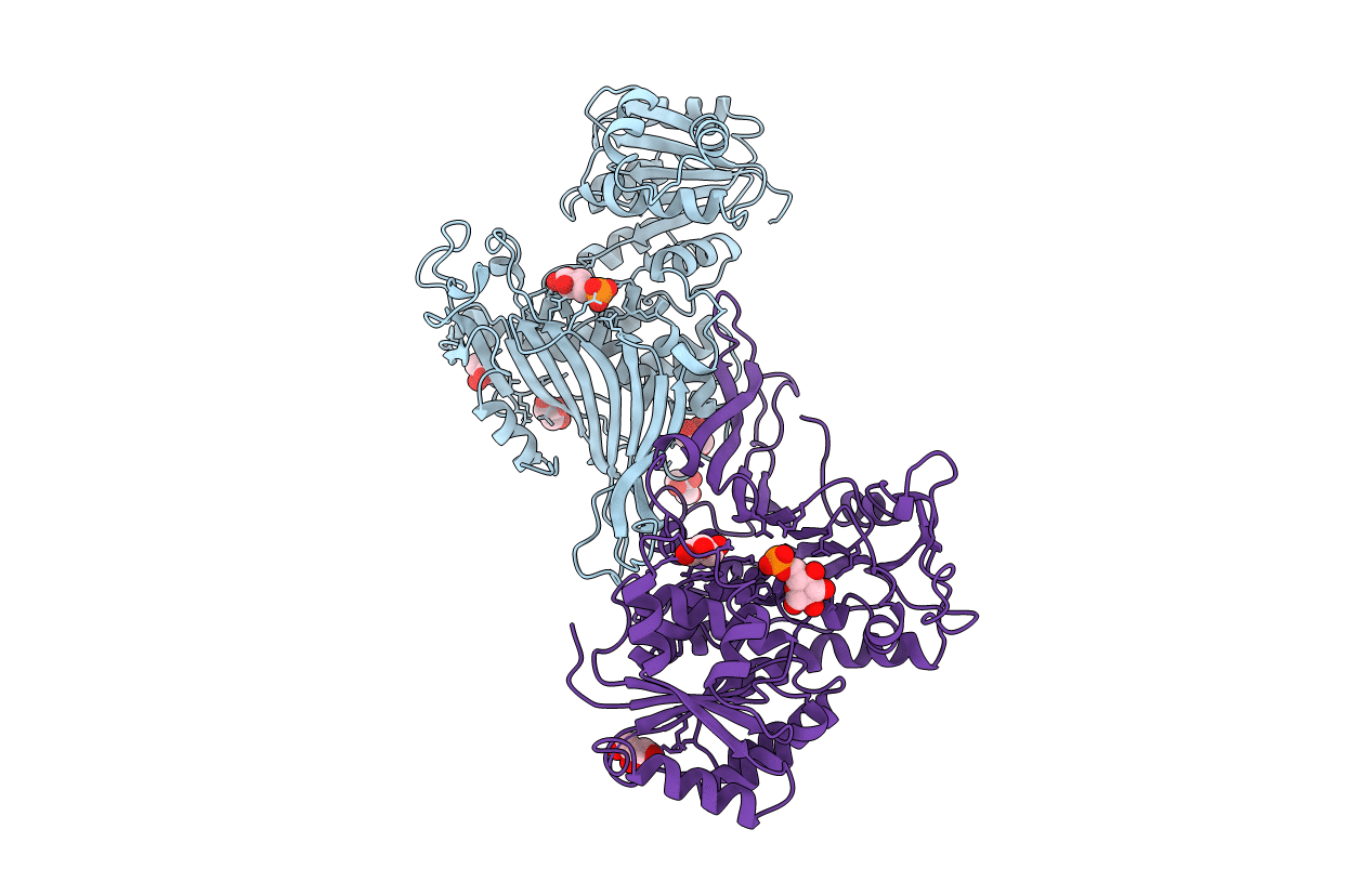 2BHL image