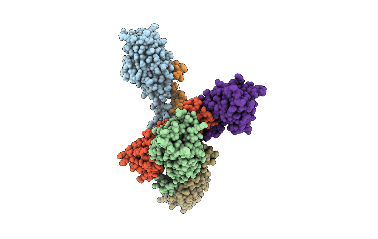 2BHV image