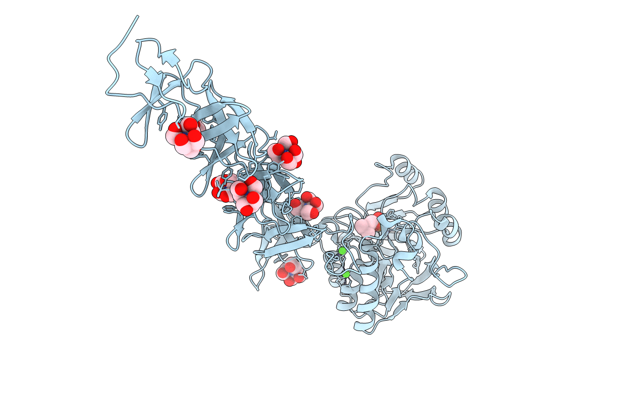 2BIB image