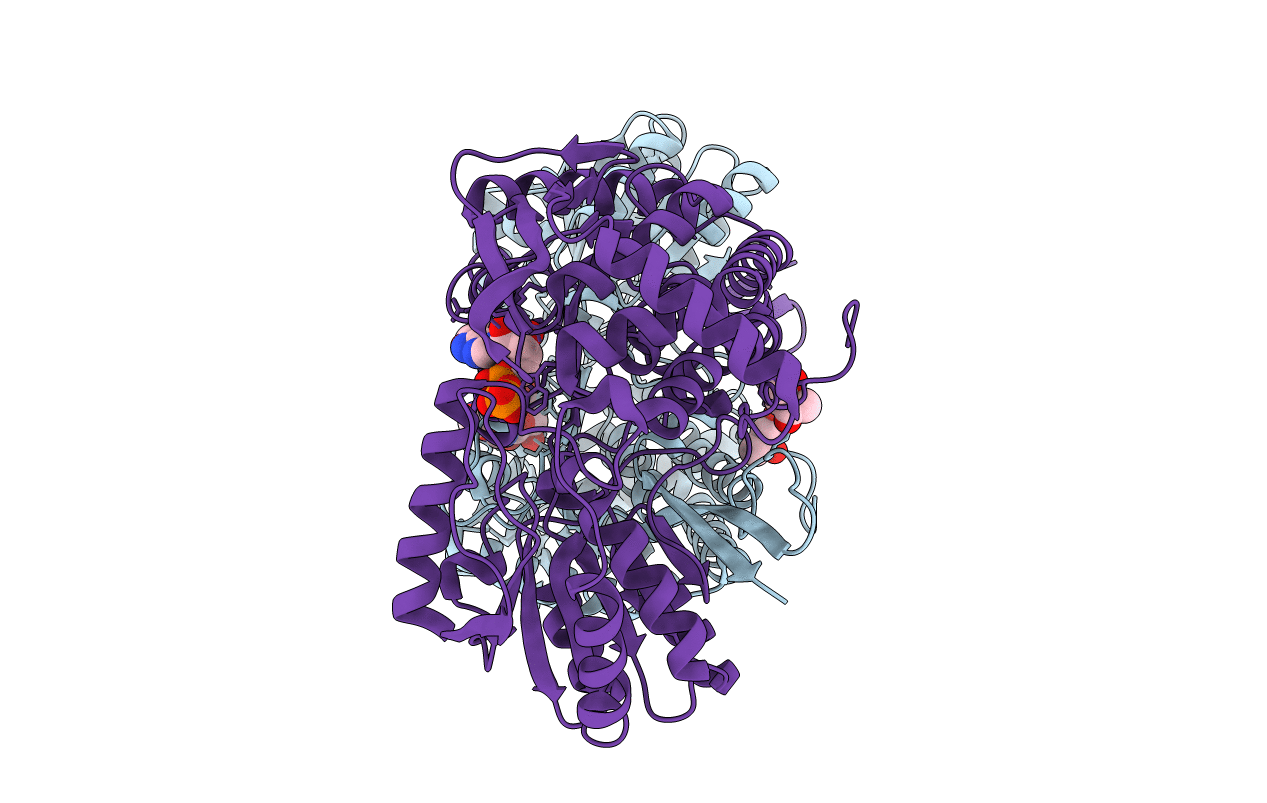 2BJA image