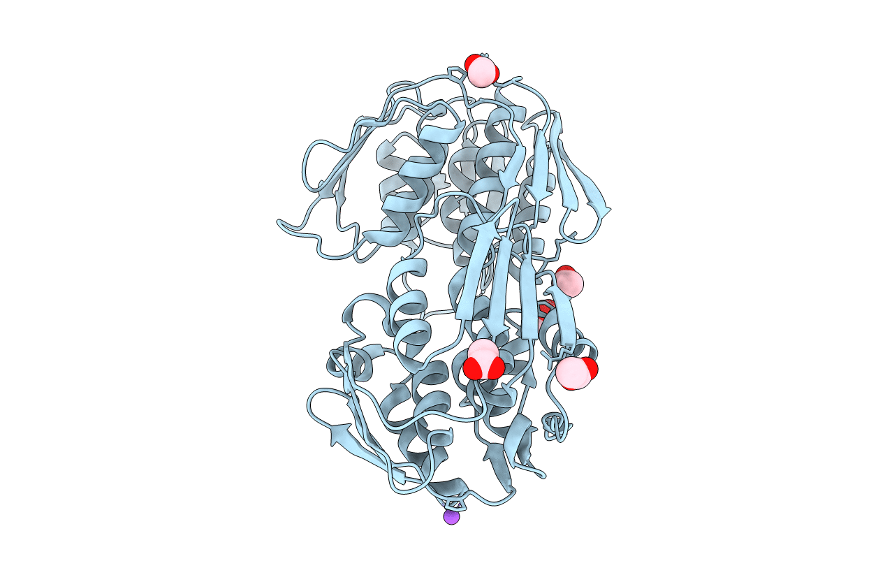 2bjb image